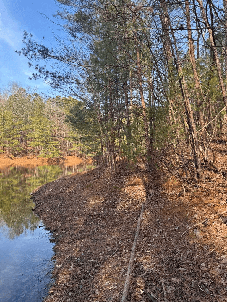 208 Lake Forest Drive, Ellijay GA 30540 - Photo