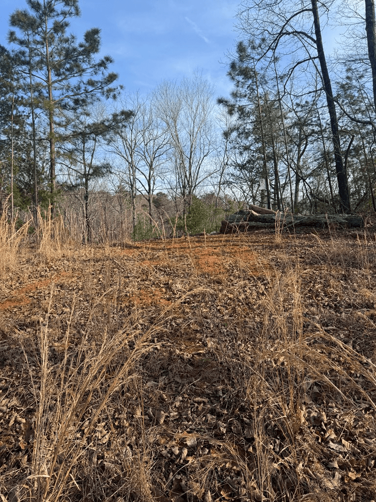 208 Lake Forest Drive, Ellijay GA 30540 - Photo
