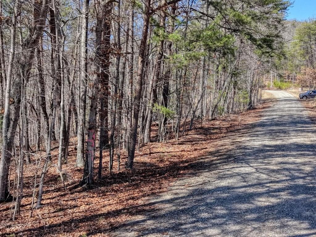3.46 acr Smokey Hills, Blairsville GA 30512 - Photo