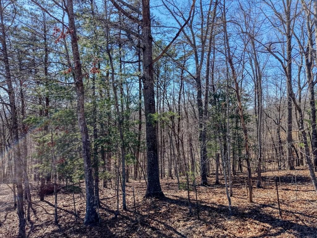 3.46 acr Smokey Hills, Blairsville GA 30512 - Photo