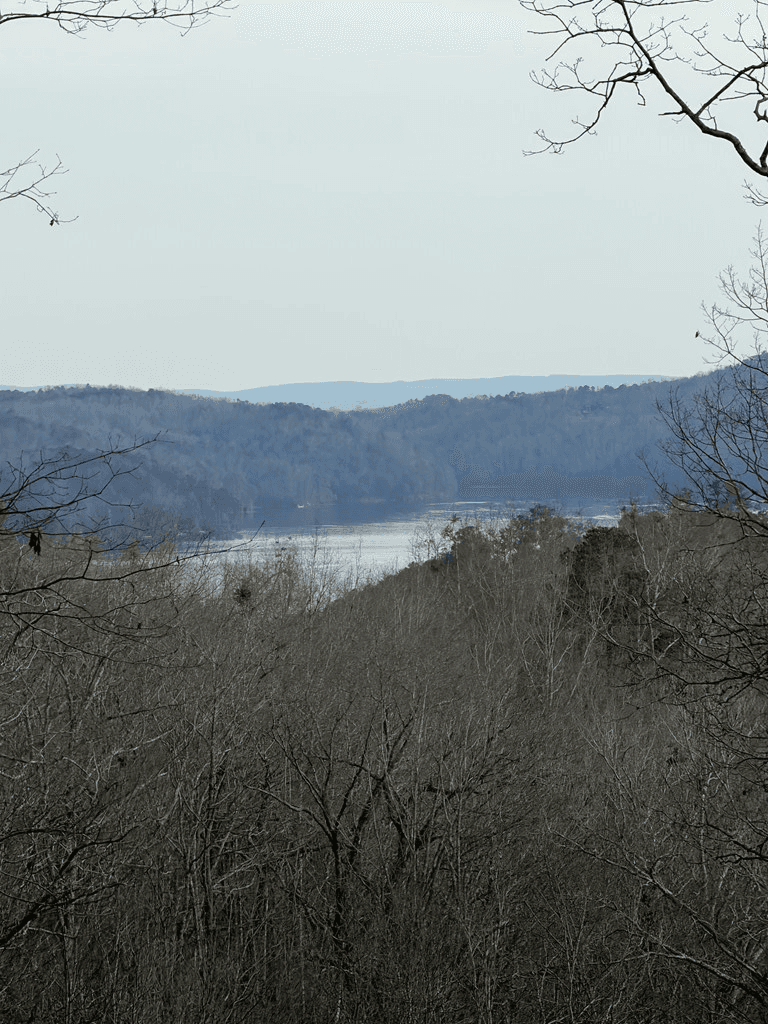 439 Buck Creek Road, Ellijay GA 30540 - Photo