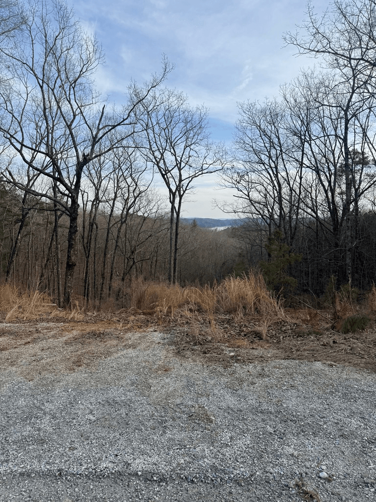 439 Buck Creek Road, Ellijay GA 30540 - Photo