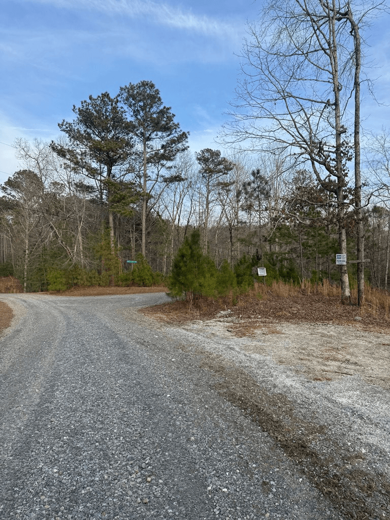 439 Buck Creek Road, Ellijay GA 30540 - Photo