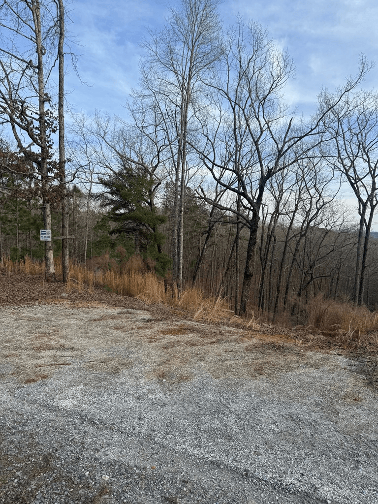 439 Buck Creek Road, Ellijay GA 30540 - Photo