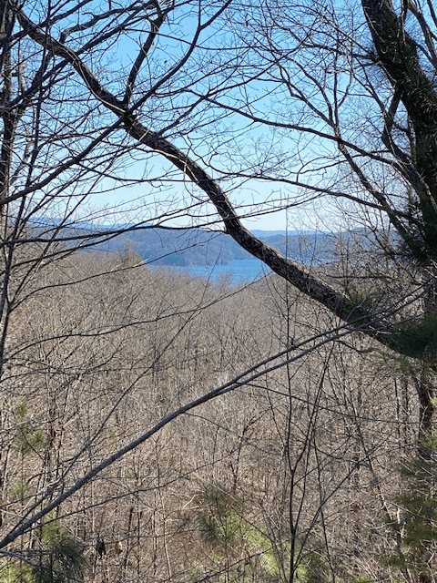 439 Buck Creek Road, Ellijay GA 30540 - Photo