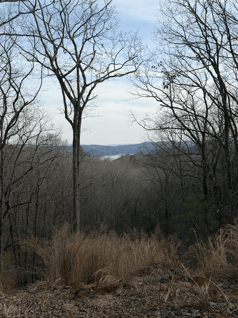 439 Buck Creek Road, Ellijay GA 30540 - Primary photo