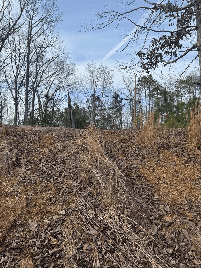 439 Buck Creek Road, Ellijay GA 30540 - Photo