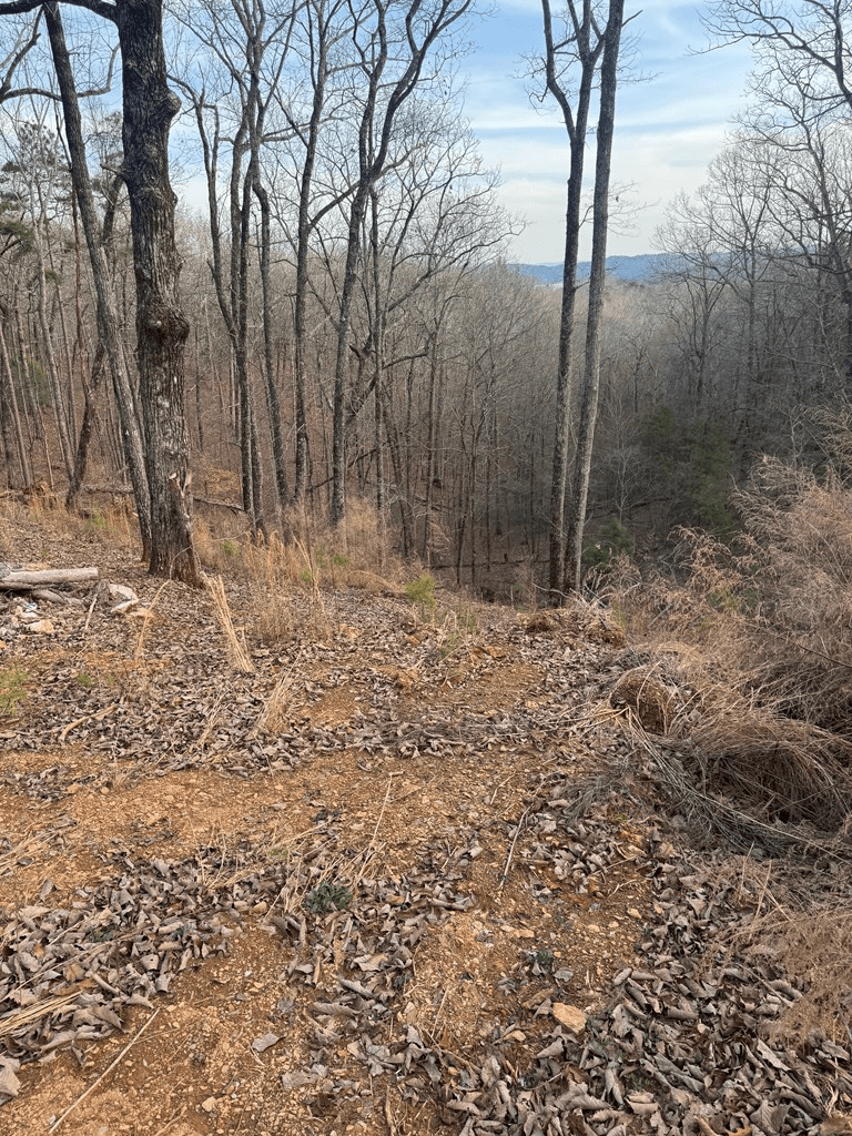 439 Buck Creek Road, Ellijay GA 30540 - Photo