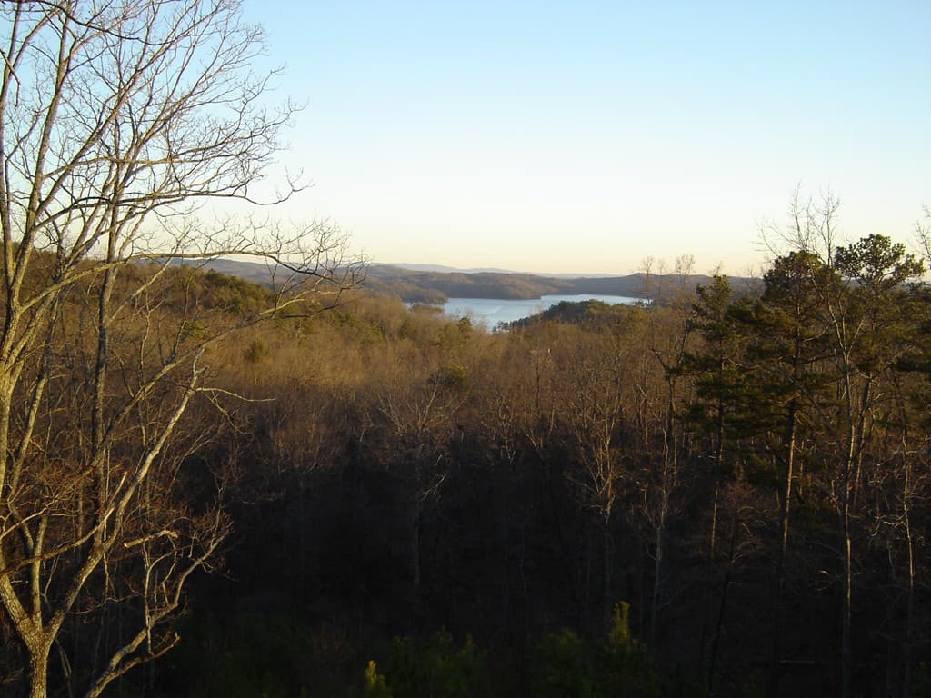 439 Buck Creek Road, Ellijay GA 30540 - Photo