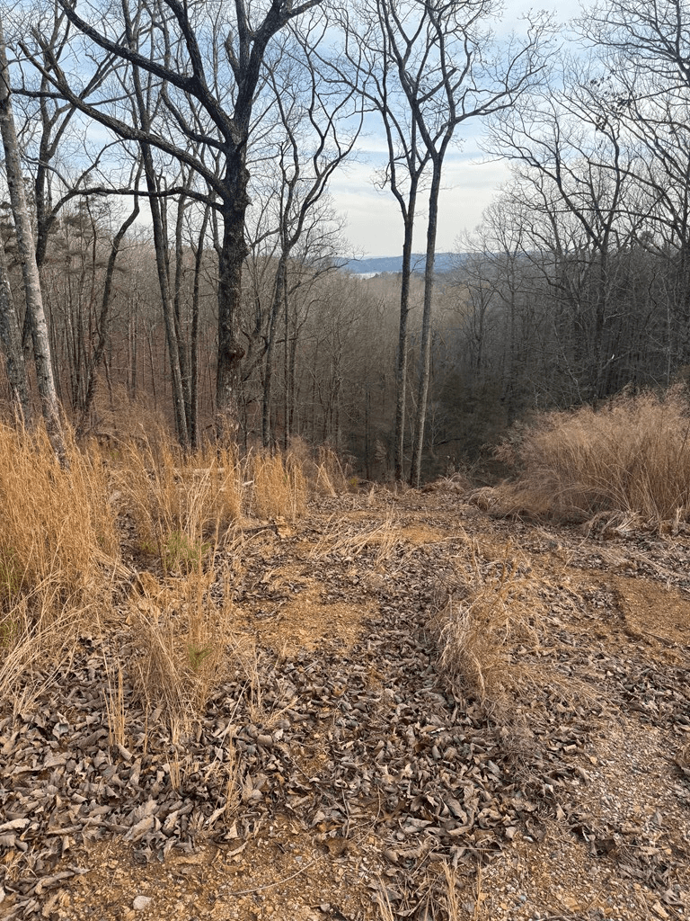 439 Buck Creek Road, Ellijay GA 30540 - Photo