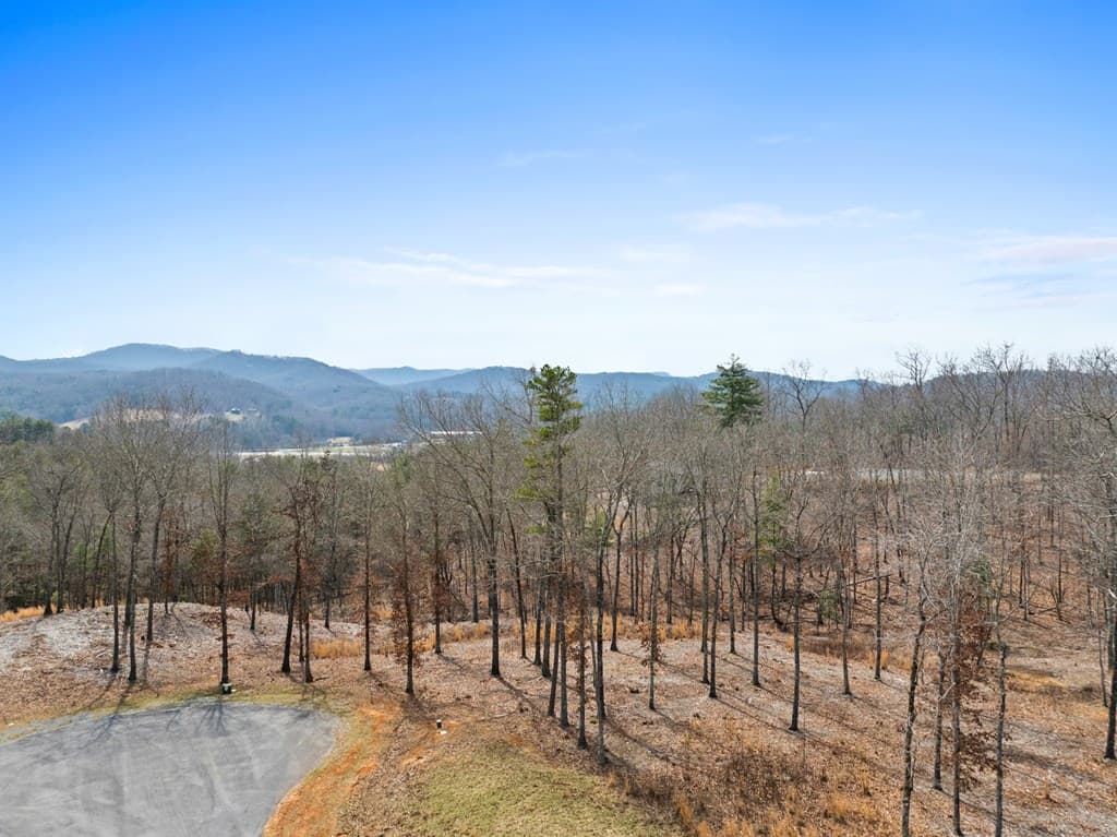 LOT 162 Ridges Of Blue Ridge, Morganton GA 30560 - Photo