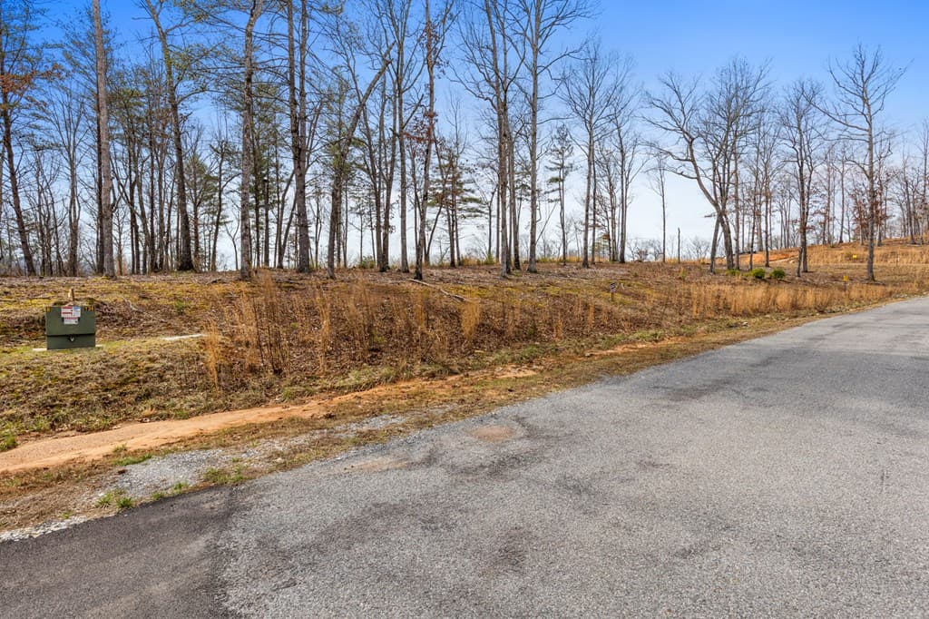 LOT 162 Ridges Of Blue Ridge, Morganton GA 30560 - Photo
