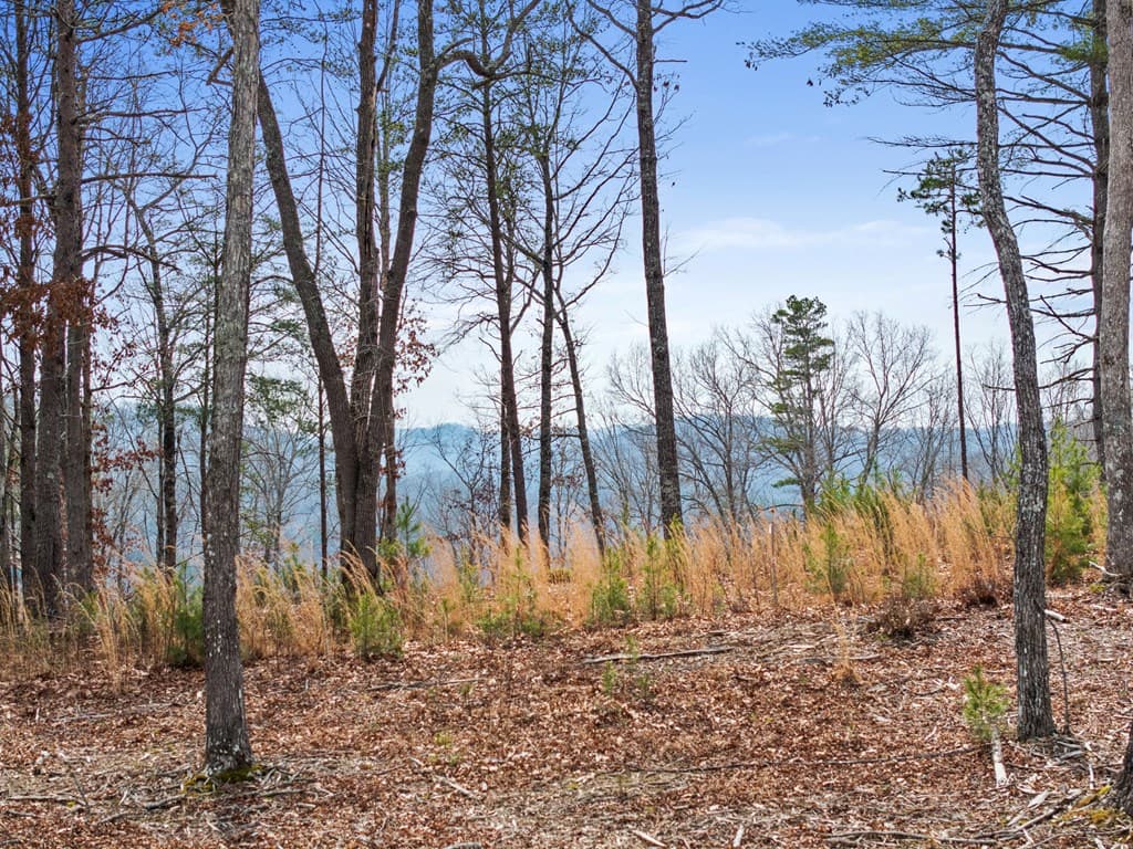 LOT 162 Ridges Of Blue Ridge, Morganton GA 30560 - Photo