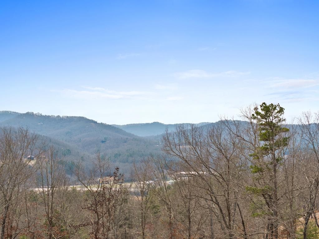 LOT 162 Ridges Of Blue Ridge, Morganton GA 30560 - Primary photo