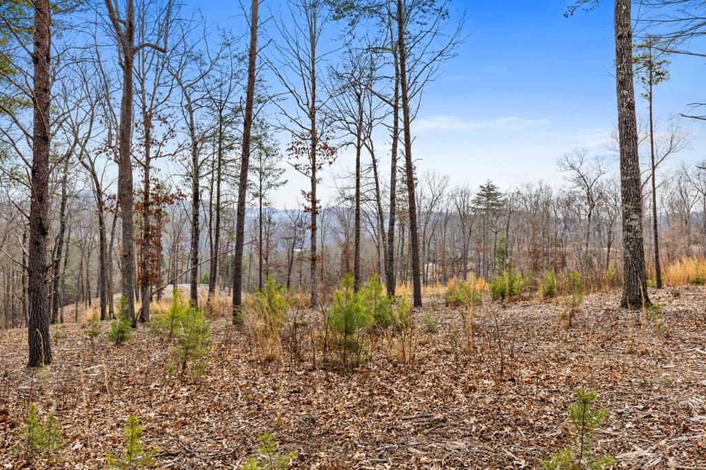 LOT 162 Ridges Of Blue Ridge, Morganton GA 30560 - Photo