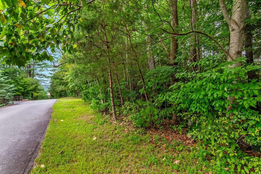 Lot 9 Laurel Creek Trail, Blue Ridge GA 30513 - Photo