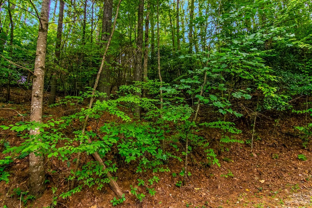 Lot 9 Laurel Creek Trail, Blue Ridge GA 30513 - Photo