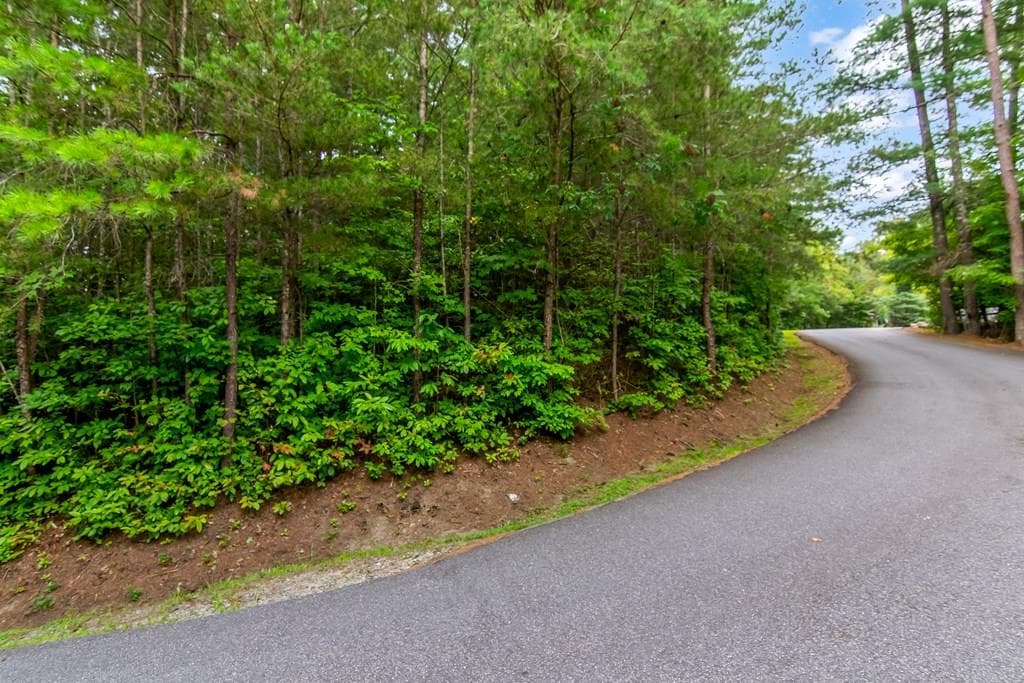 Lot 9 Laurel Creek Trail, Blue Ridge GA 30513 - Primary photo