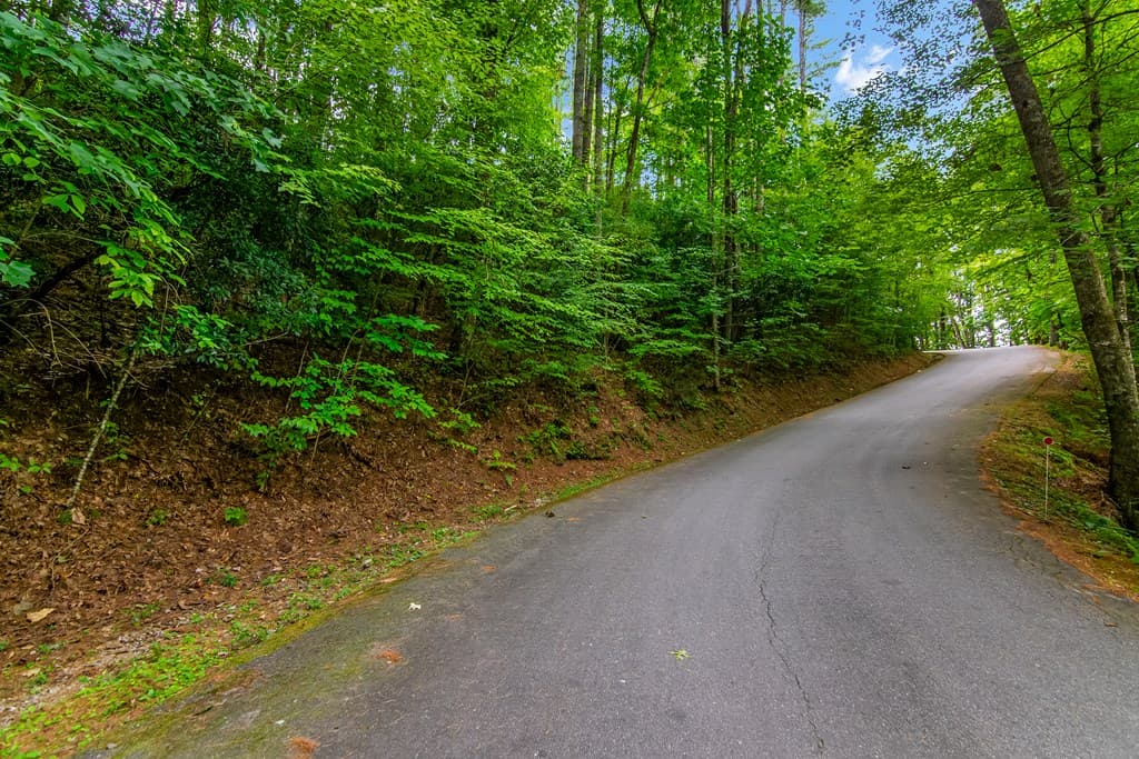 Lot 9 Laurel Creek Trail, Blue Ridge GA 30513 - Photo