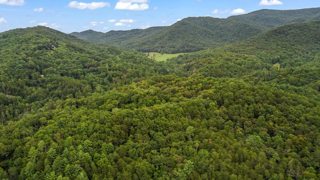 Lot 9 Laurel Creek Trail, Blue Ridge GA 30513 - Photo