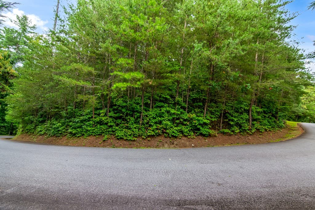 Lot 9 Laurel Creek Trail, Blue Ridge GA 30513 - Photo