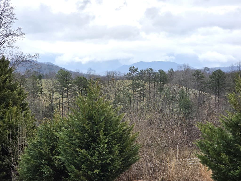 971 Lance Road, Murphy NC 28906 - Photo