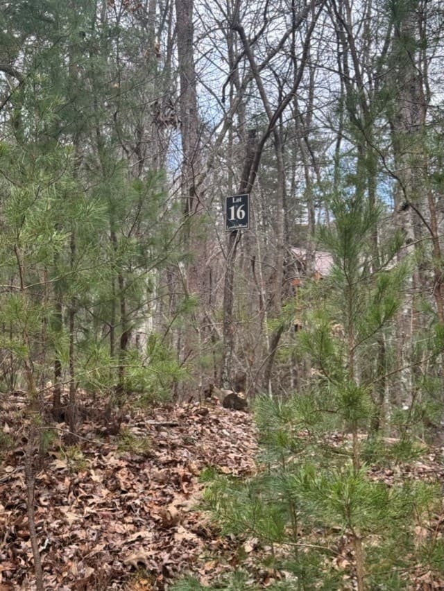 16R Leatherwood Mountain Road, Cherry Log GA 30522 - Photo