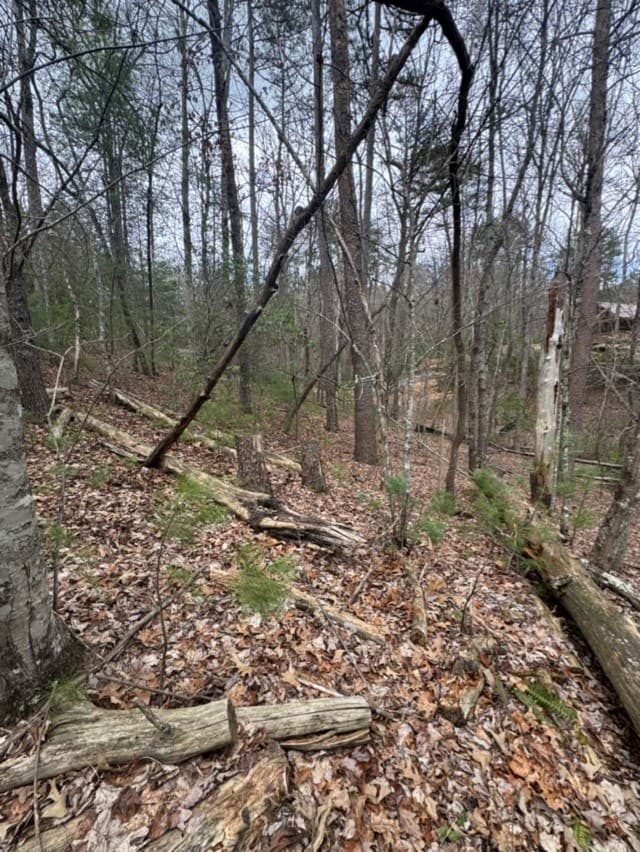 16R Leatherwood Mountain Road, Cherry Log GA 30522 - Photo