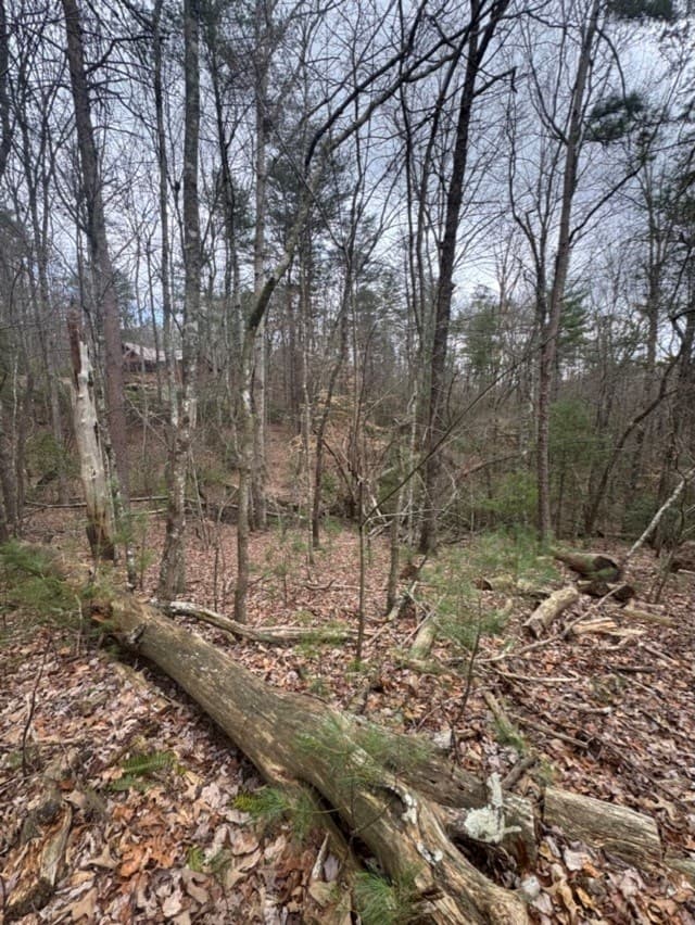 16R Leatherwood Mountain Road, Cherry Log GA 30522 - Photo