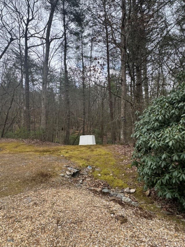 16R Leatherwood Mountain Road, Cherry Log GA 30522 - Photo