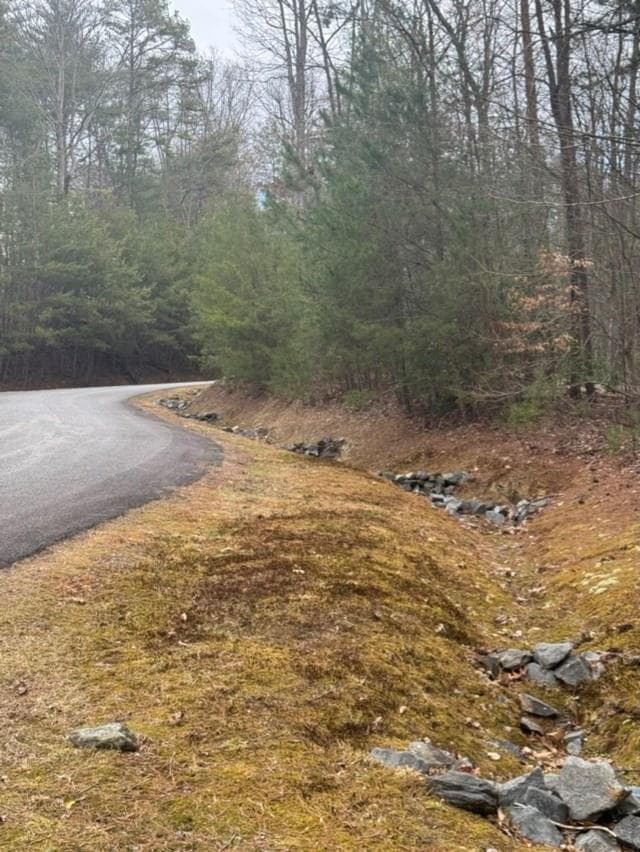 16R Leatherwood Mountain Road, Cherry Log GA 30522 - Primary photo