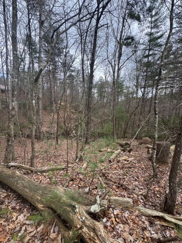 16R Leatherwood Mountain Road, Cherry Log GA 30522 - Photo