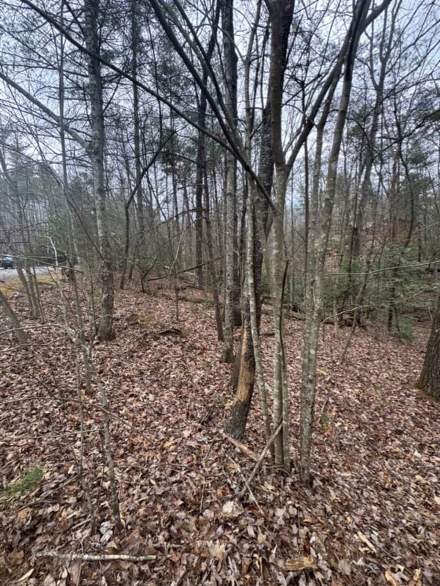 16R Leatherwood Mountain Road, Cherry Log GA 30522 - Photo