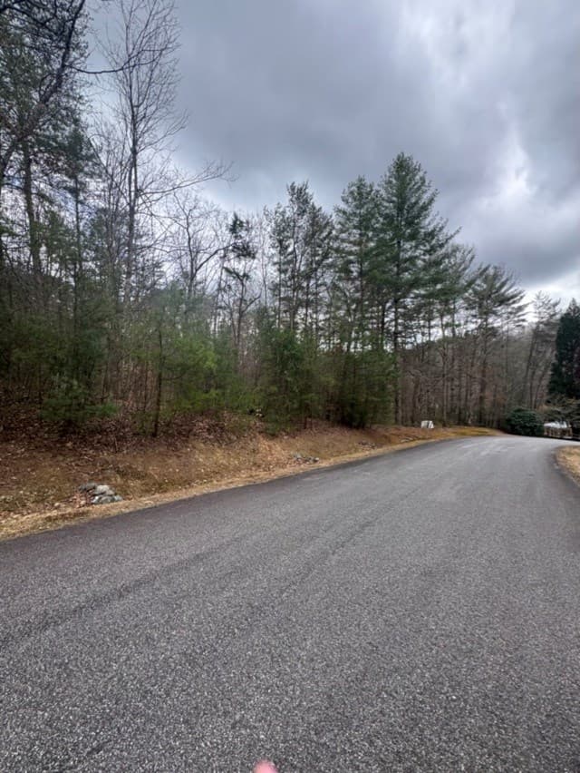 16R Leatherwood Mountain Road, Cherry Log GA 30522 - Photo
