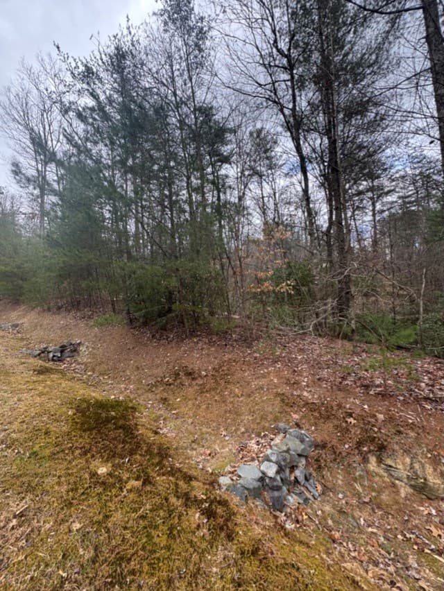 16R Leatherwood Mountain Road, Cherry Log GA 30522 - Photo