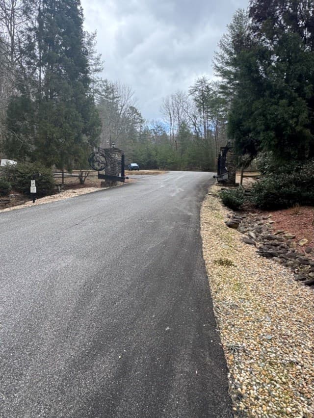 16R Leatherwood Mountain Road, Cherry Log GA 30522 - Photo