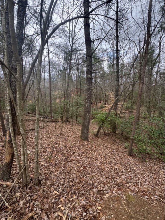 16R Leatherwood Mountain Road, Cherry Log GA 30522 - Photo