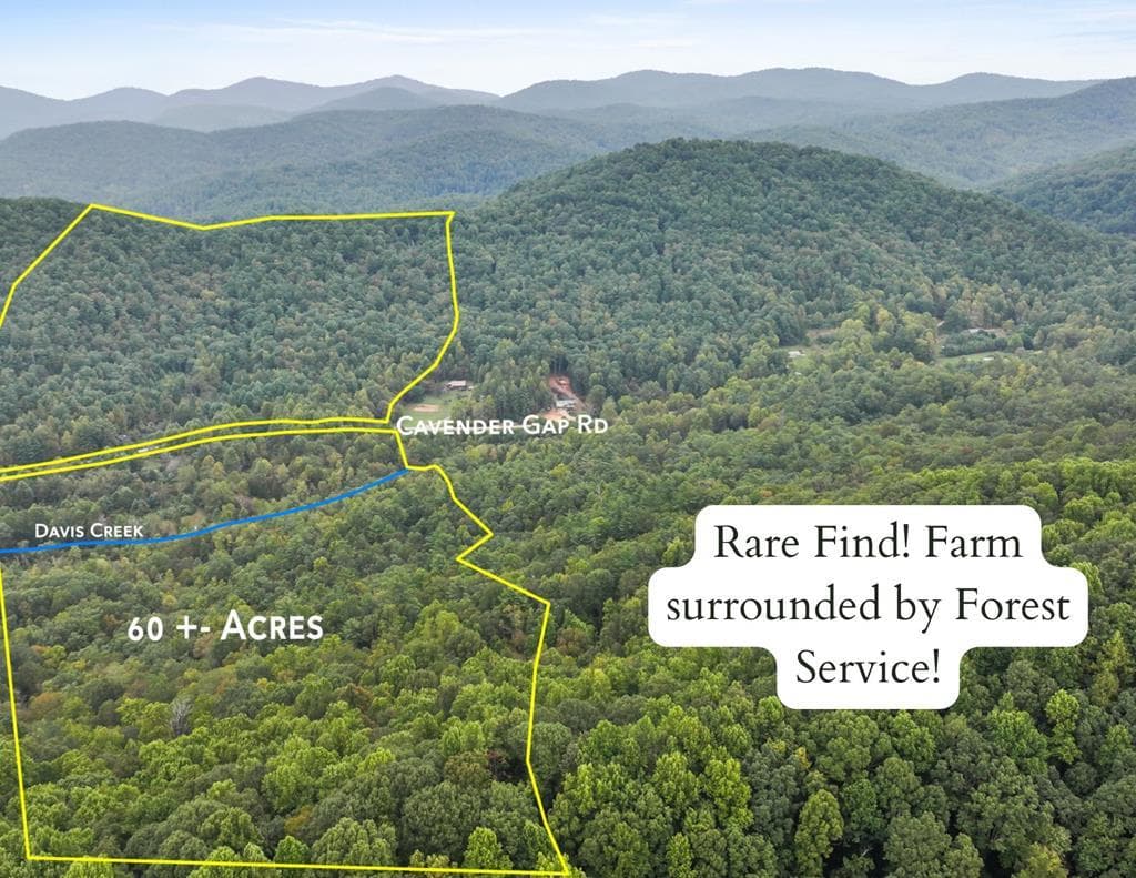 1955 Cavender Gap Road, Suches GA 30572 - Photo