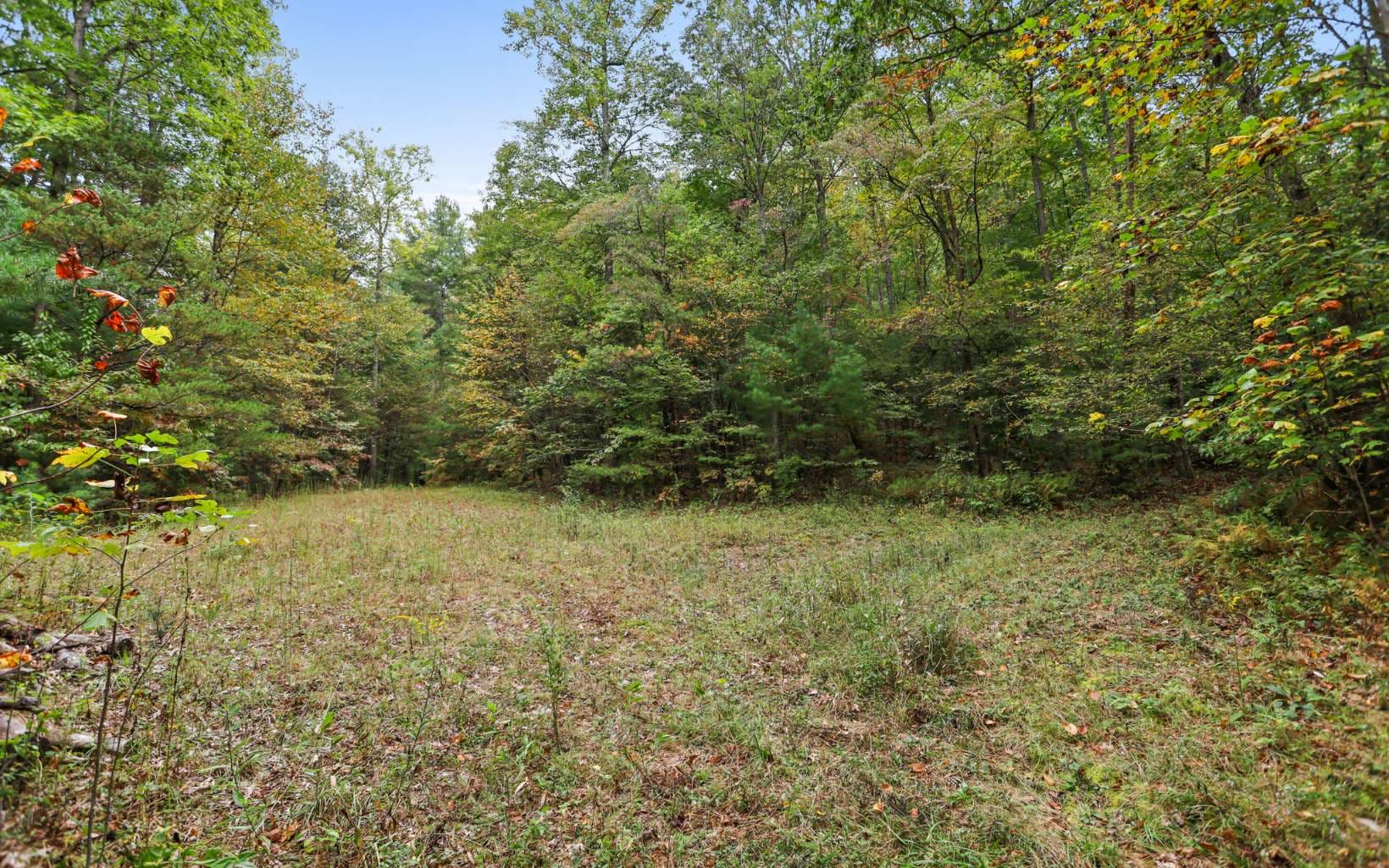 1955 Cavender Gap Road, Suches GA 30572 - Photo