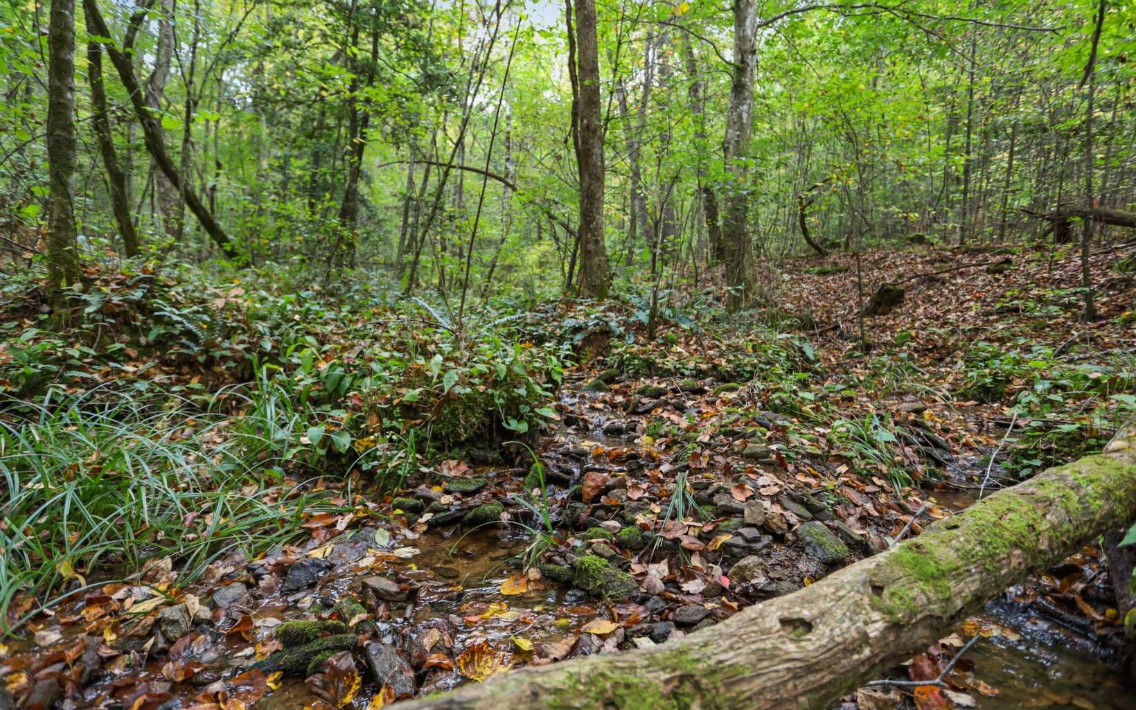 1955 Cavender Gap Road, Suches GA 30572 - Photo