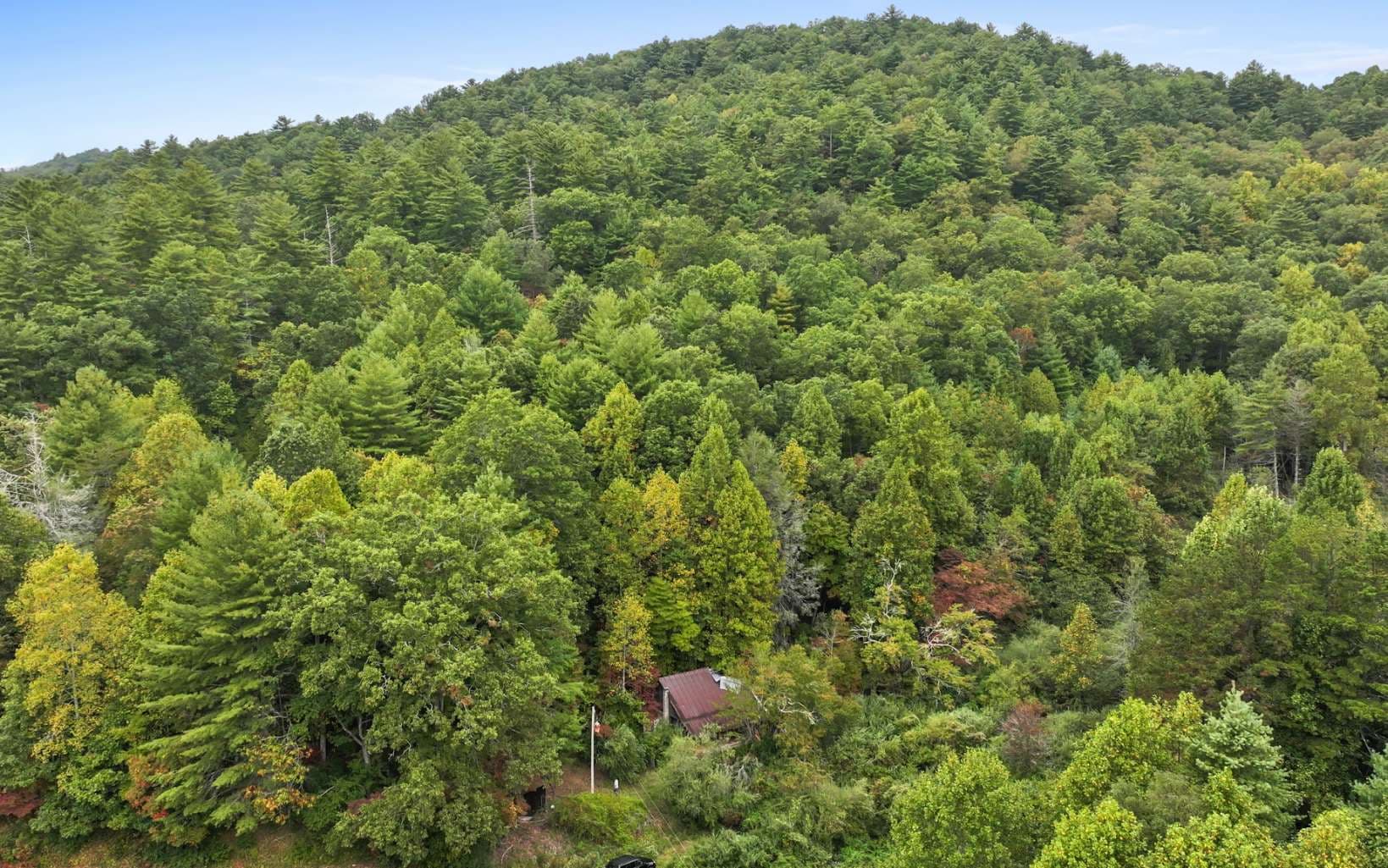 1955 Cavender Gap Road, Suches GA 30572 - Photo