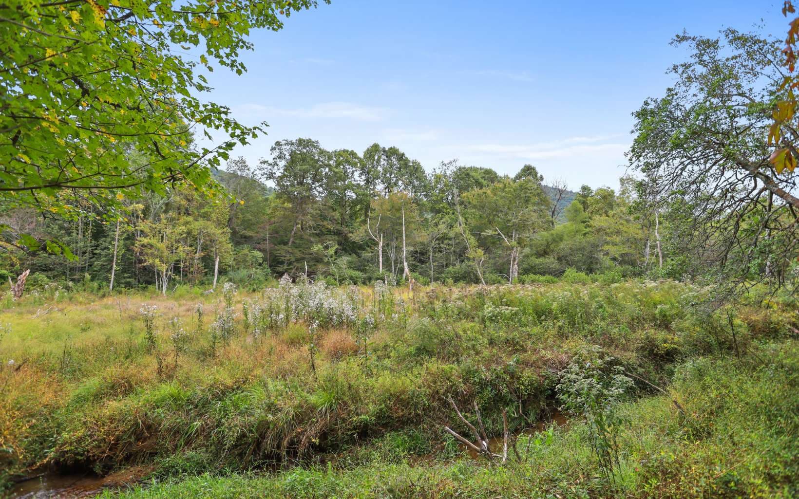 1955 Cavender Gap Road, Suches GA 30572 - Photo