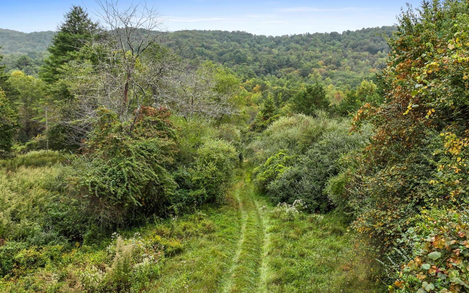 1955 Cavender Gap Road, Suches GA 30572 - Photo