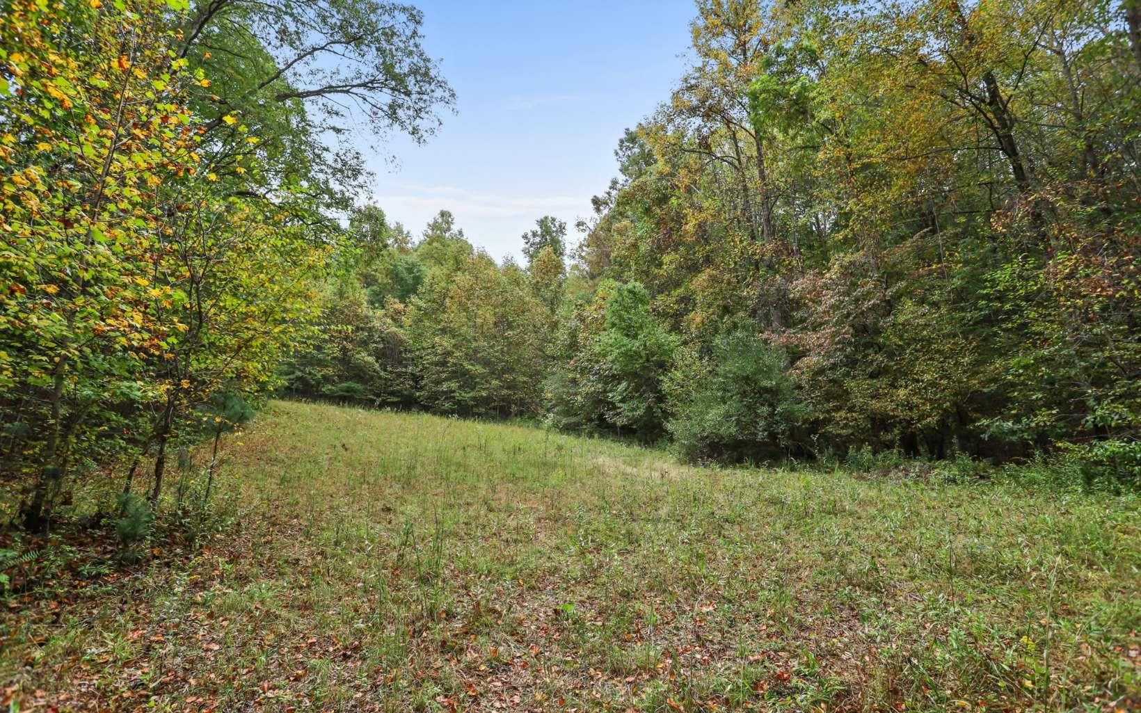 1955 Cavender Gap Road, Suches GA 30572 - Primary photo
