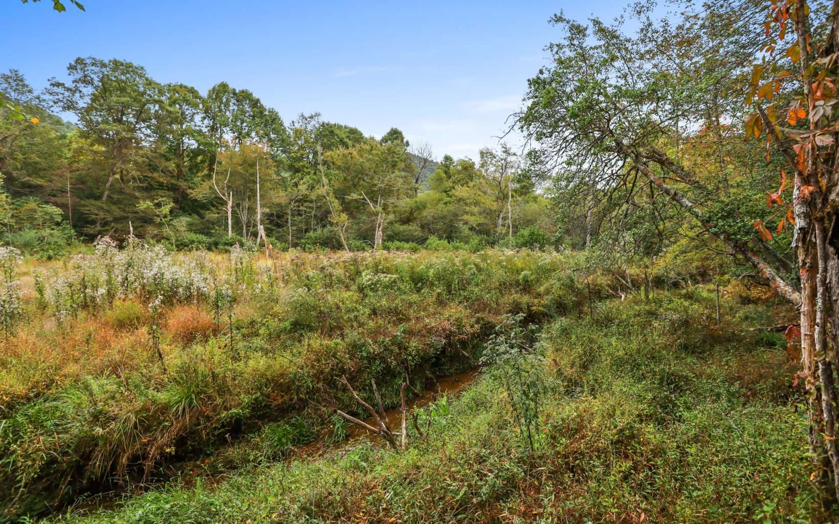 1955 Cavender Gap Road, Suches GA 30572 - Photo