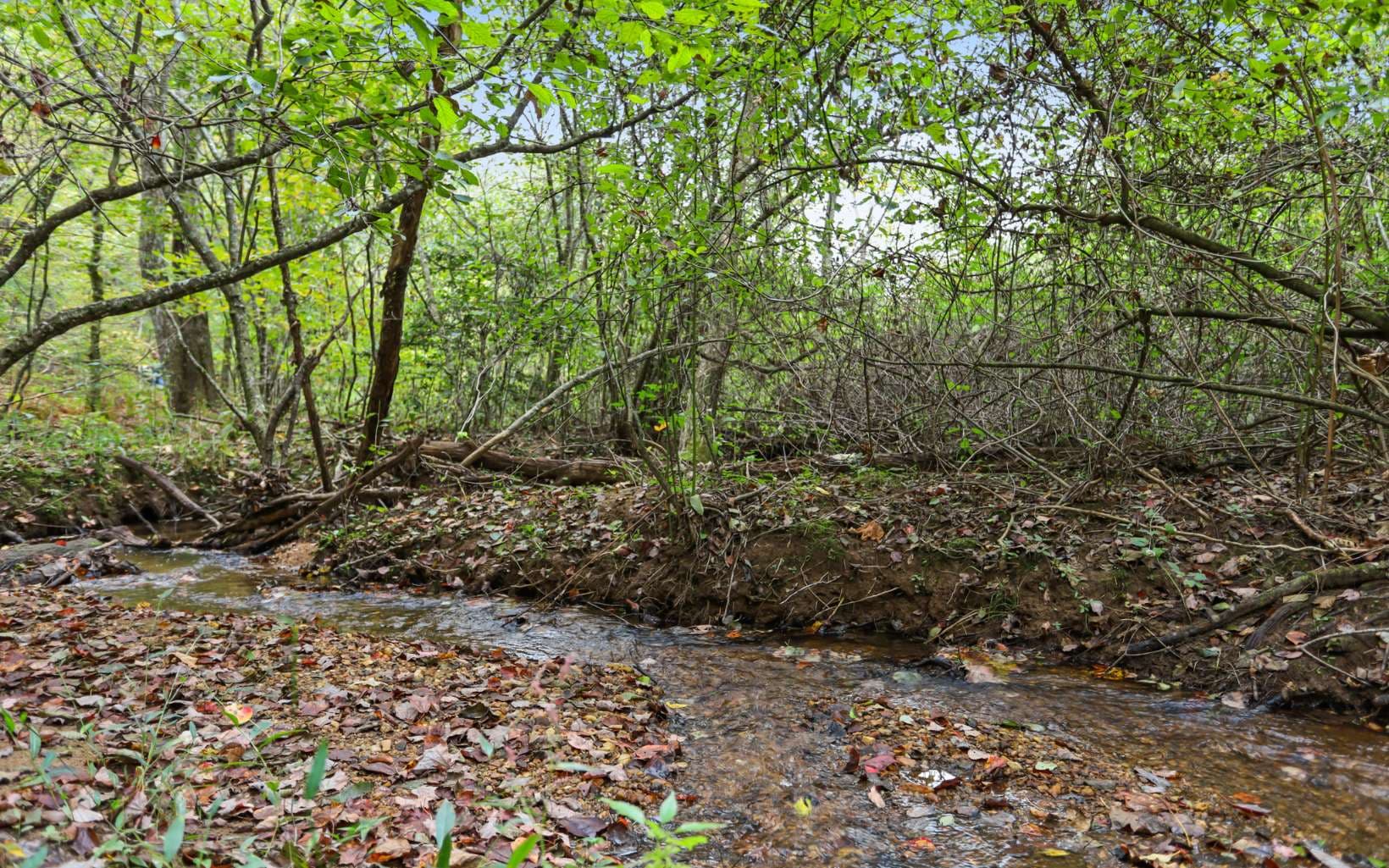 1955 Cavender Gap Road, Suches GA 30572 - Photo
