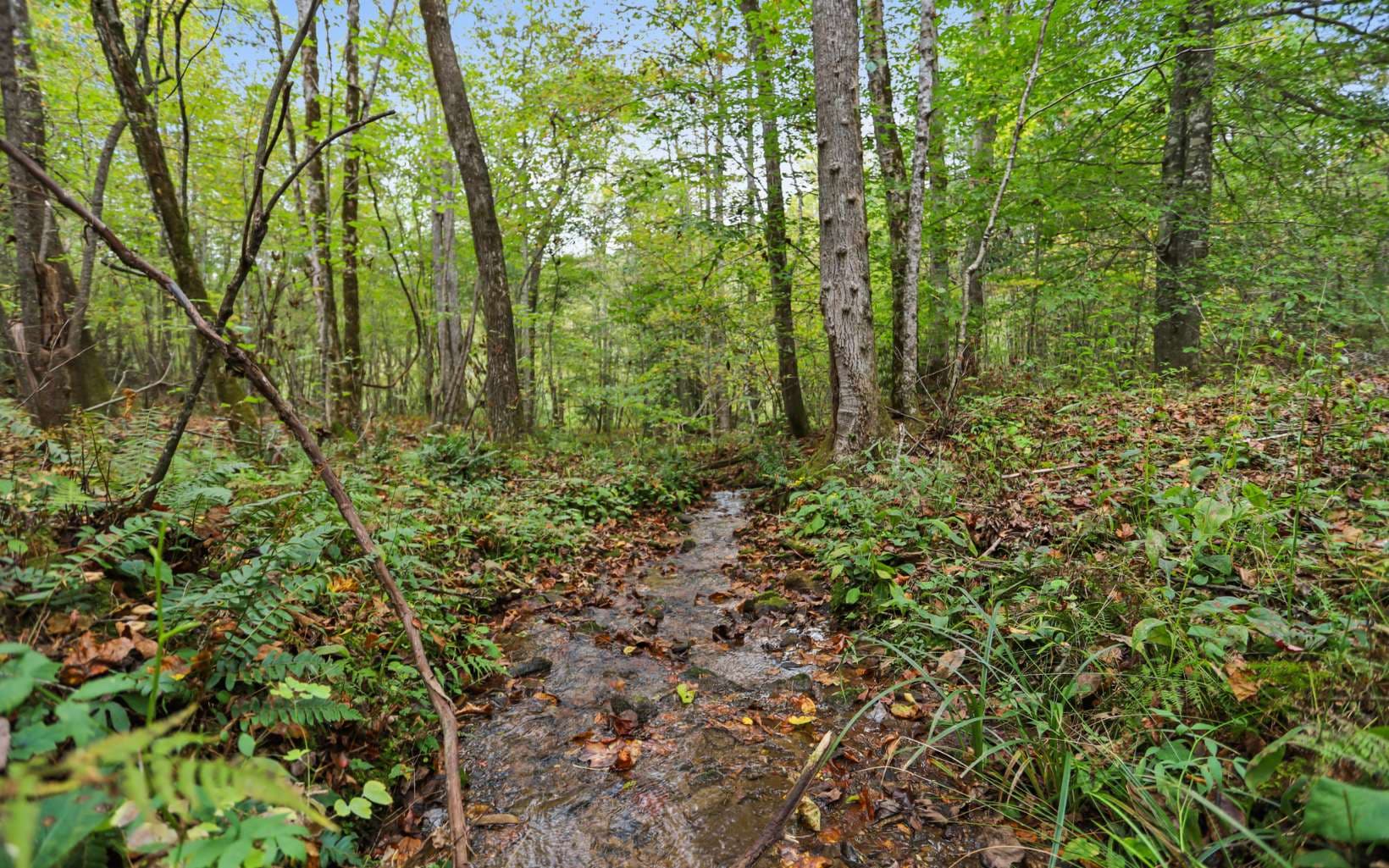 1955 Cavender Gap Road, Suches GA 30572 - Photo
