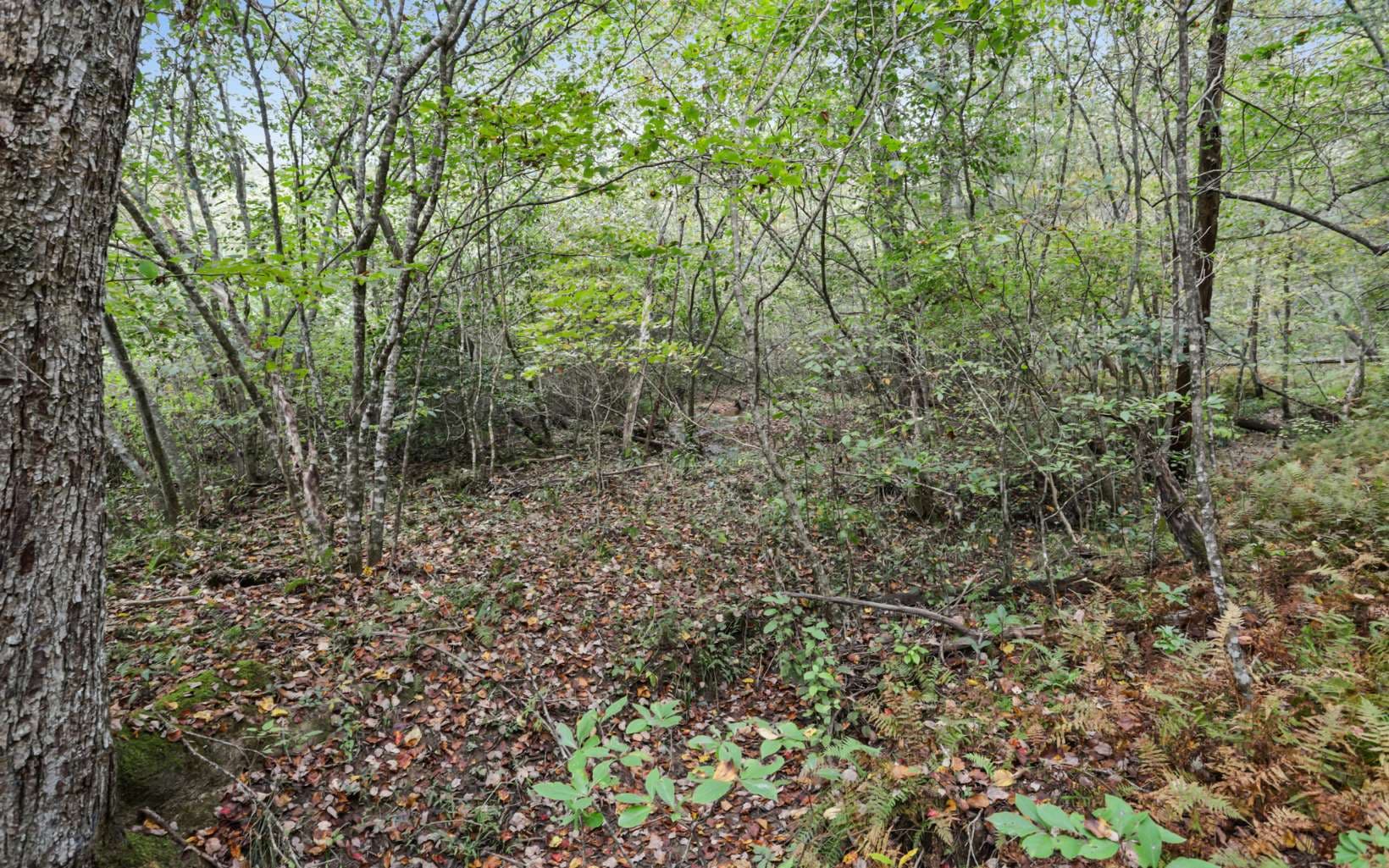1955 Cavender Gap Road, Suches GA 30572 - Photo