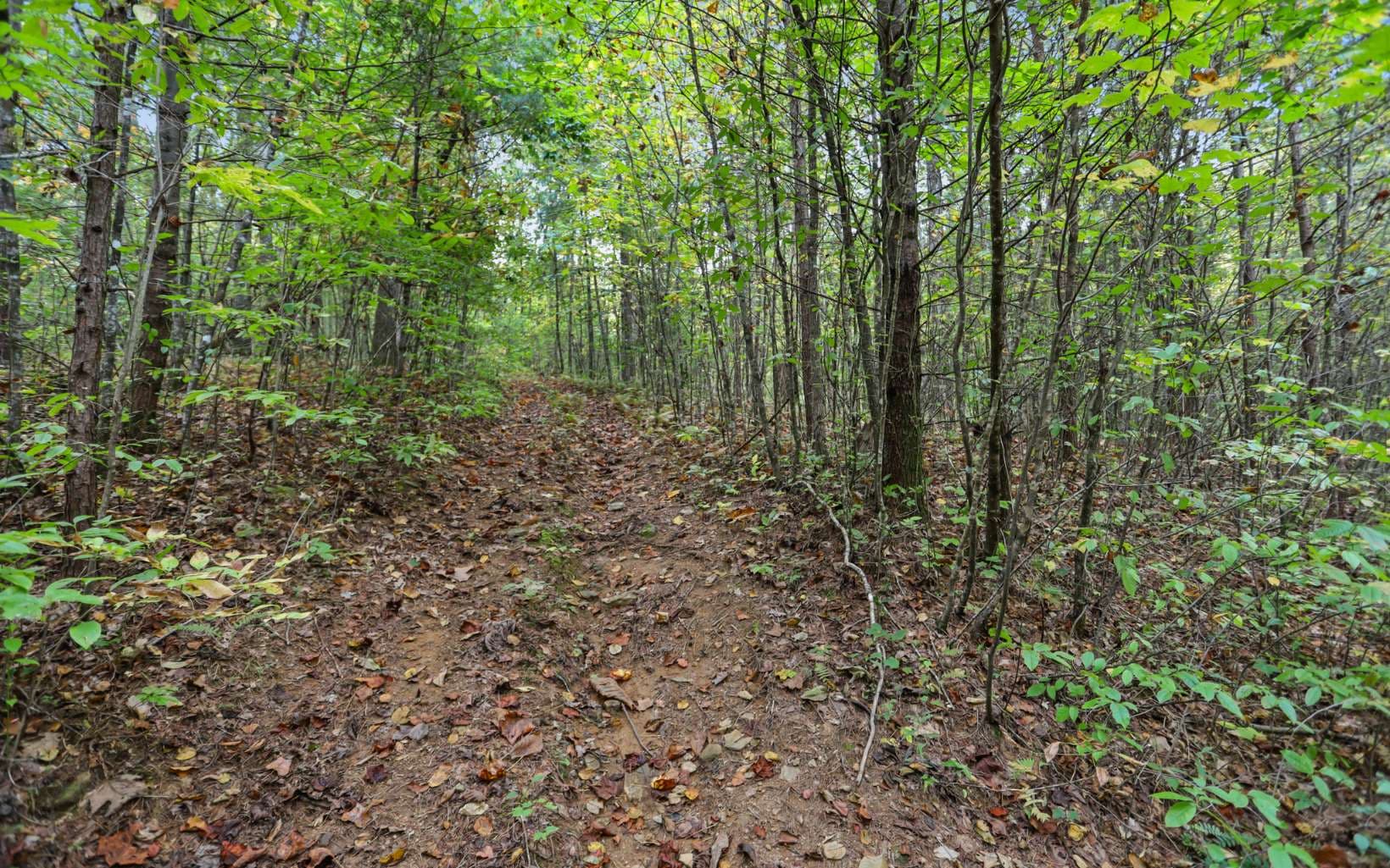 1955 Cavender Gap Road, Suches GA 30572 - Photo
