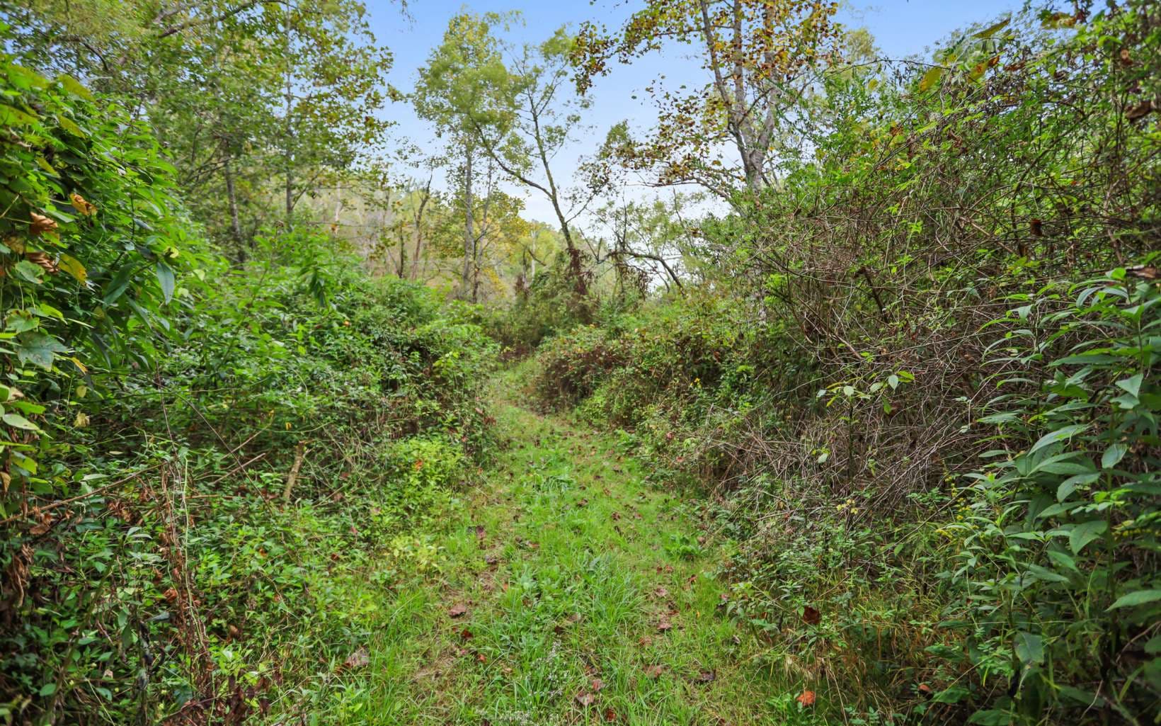 1955 Cavender Gap Road, Suches GA 30572 - Photo
